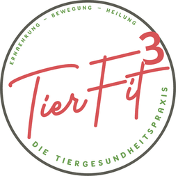 TierFit³