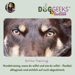 DogGeeks Onlinehundeschule