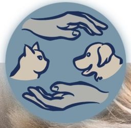 Physiotherapie für Tiere Heilerhund