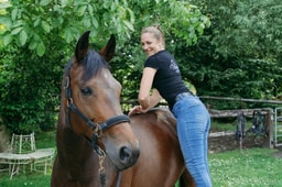 Manthera - manuelle Therapie für Tiere, tierärztliche Chiropraxis und Physiotherapie