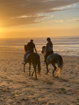 Dyad Equine