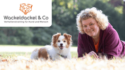 Wackeldackel & Co - Happy mit Hund