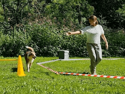 Ankerpfoten