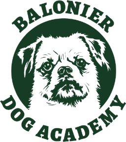 BALONIER Dog Academy