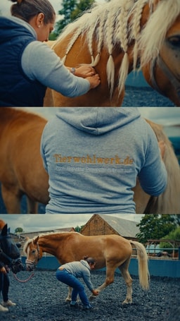 Tierwohlwerk I Tierphysiotherapie - Akupunktur - Osteopathie - Tierheilpraxis