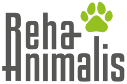 RehaAnimalis Hundephysio- & Fitnesstherapie