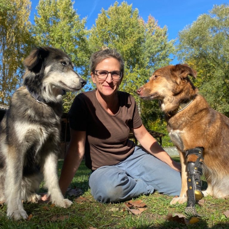 dot.dog Hundephysio