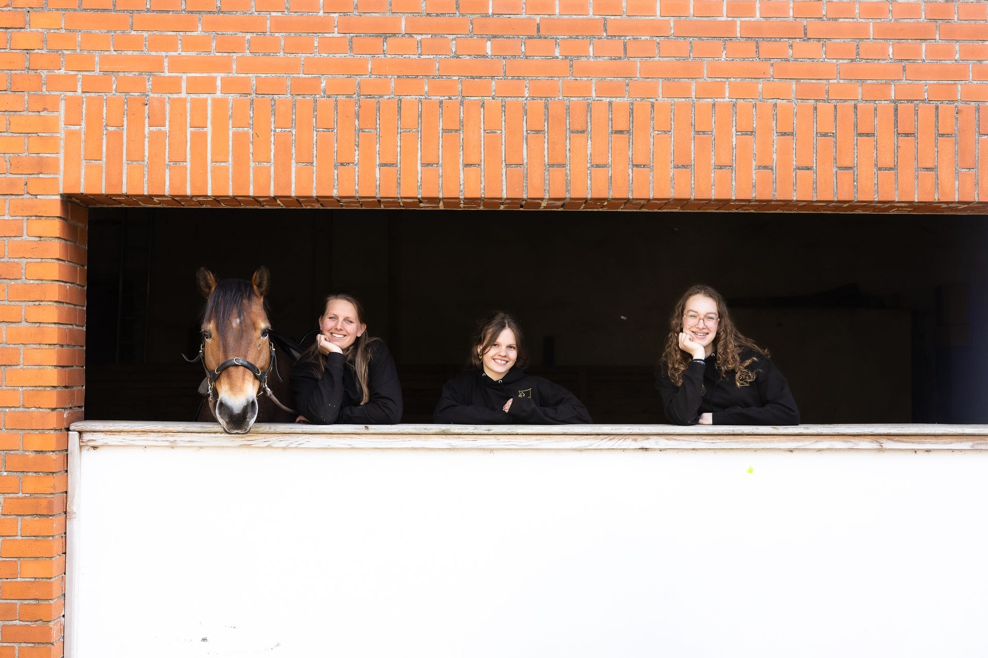 Pferdehof Danehl GbR
