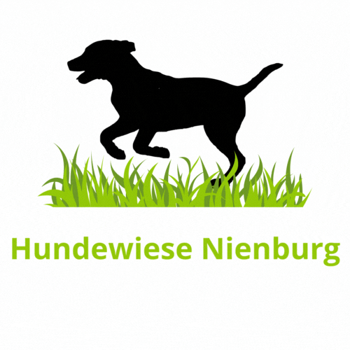 Hundeschule NeHo Hundetraining