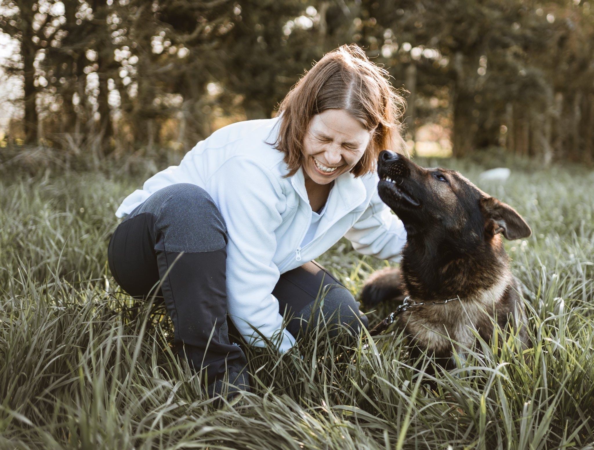 Pet Advice Ernährungsberatung für Hunde und Katzen