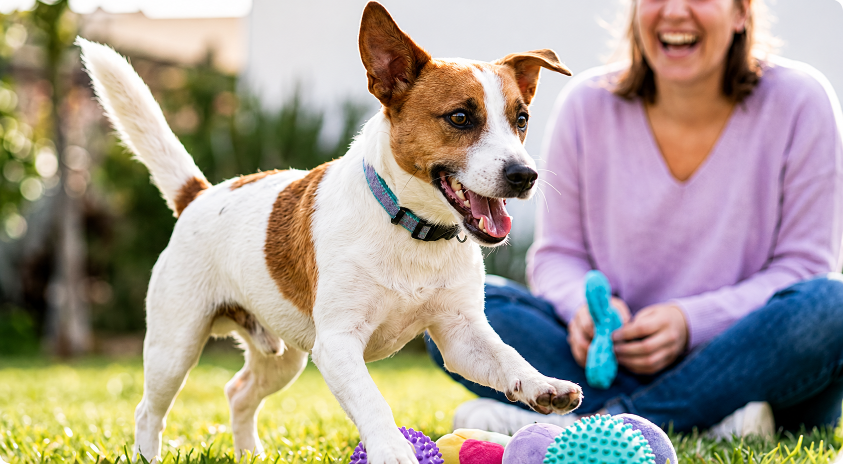 Hund spielt im Garten, während die Besitzerin lächelnd daneben sitzt