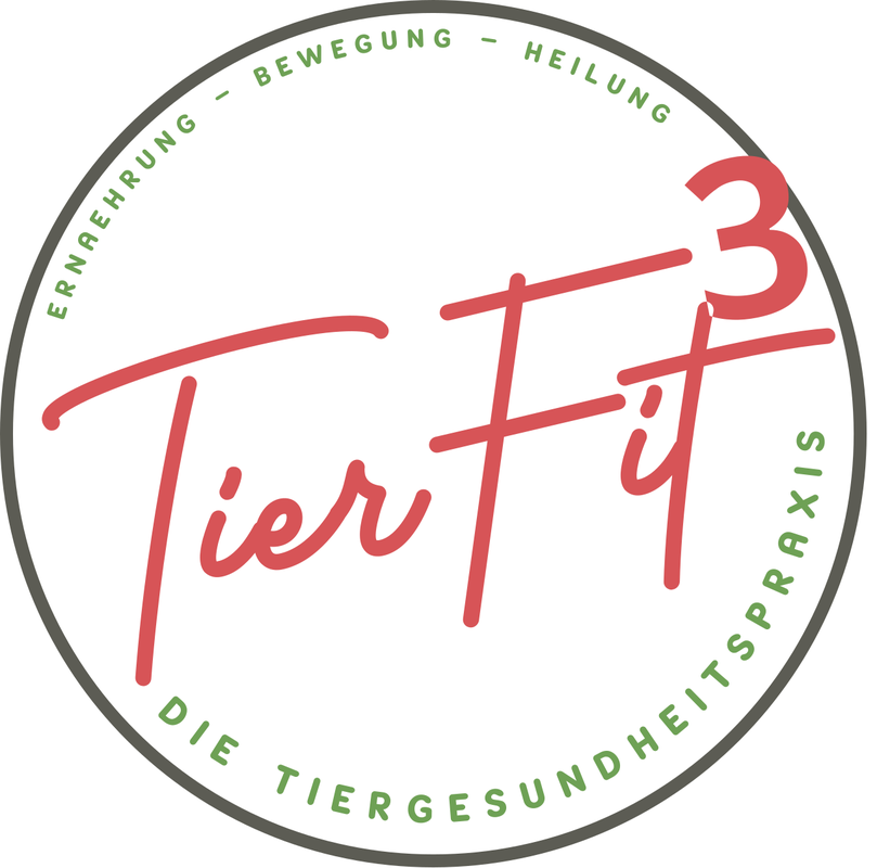 TierFit³
