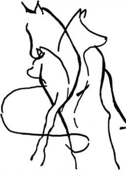 Pferdeosteopathie/Tierphysiotherapie Sabine Scholz