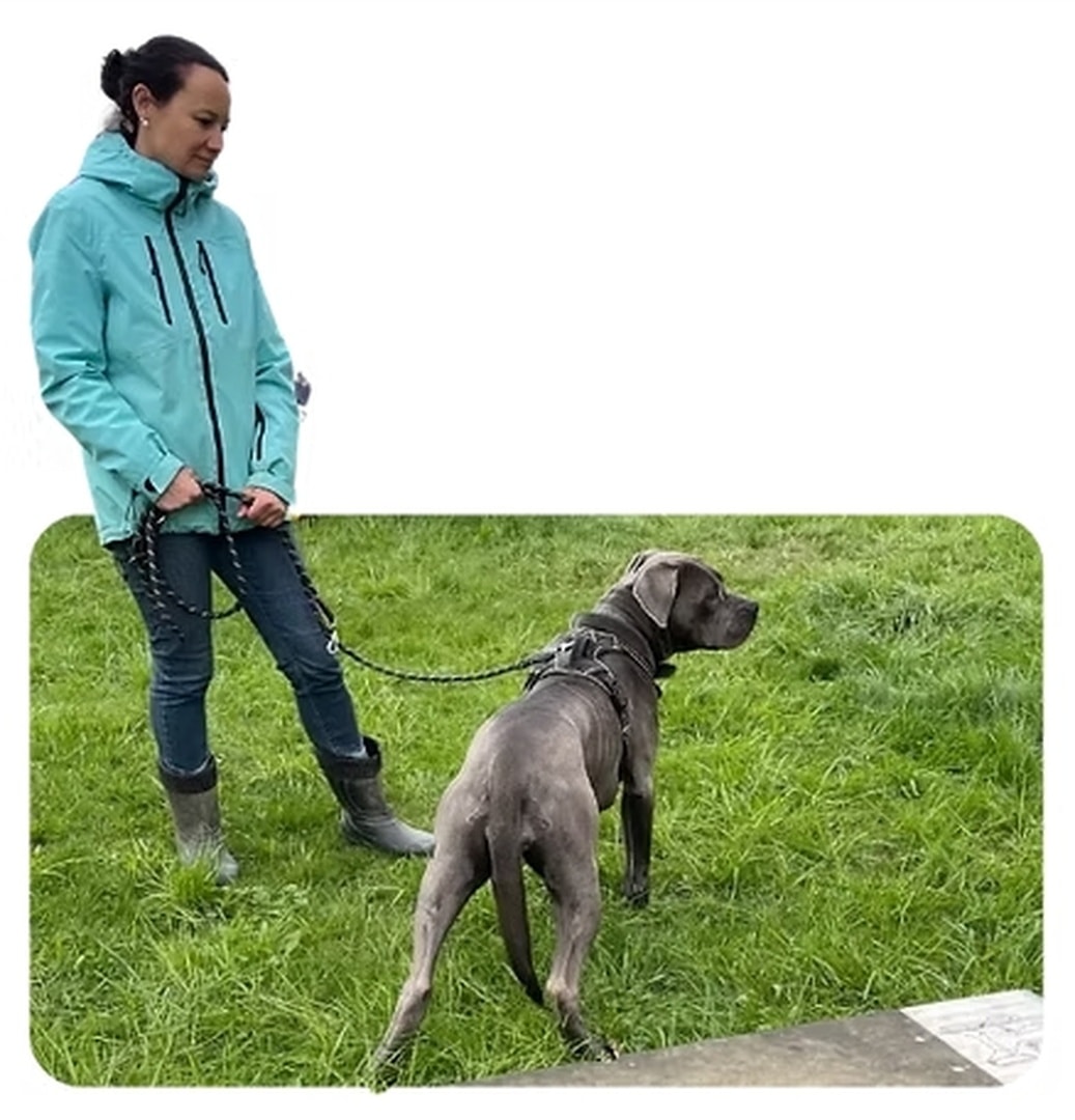Wolf's Instinkte - Deine Hundeschule