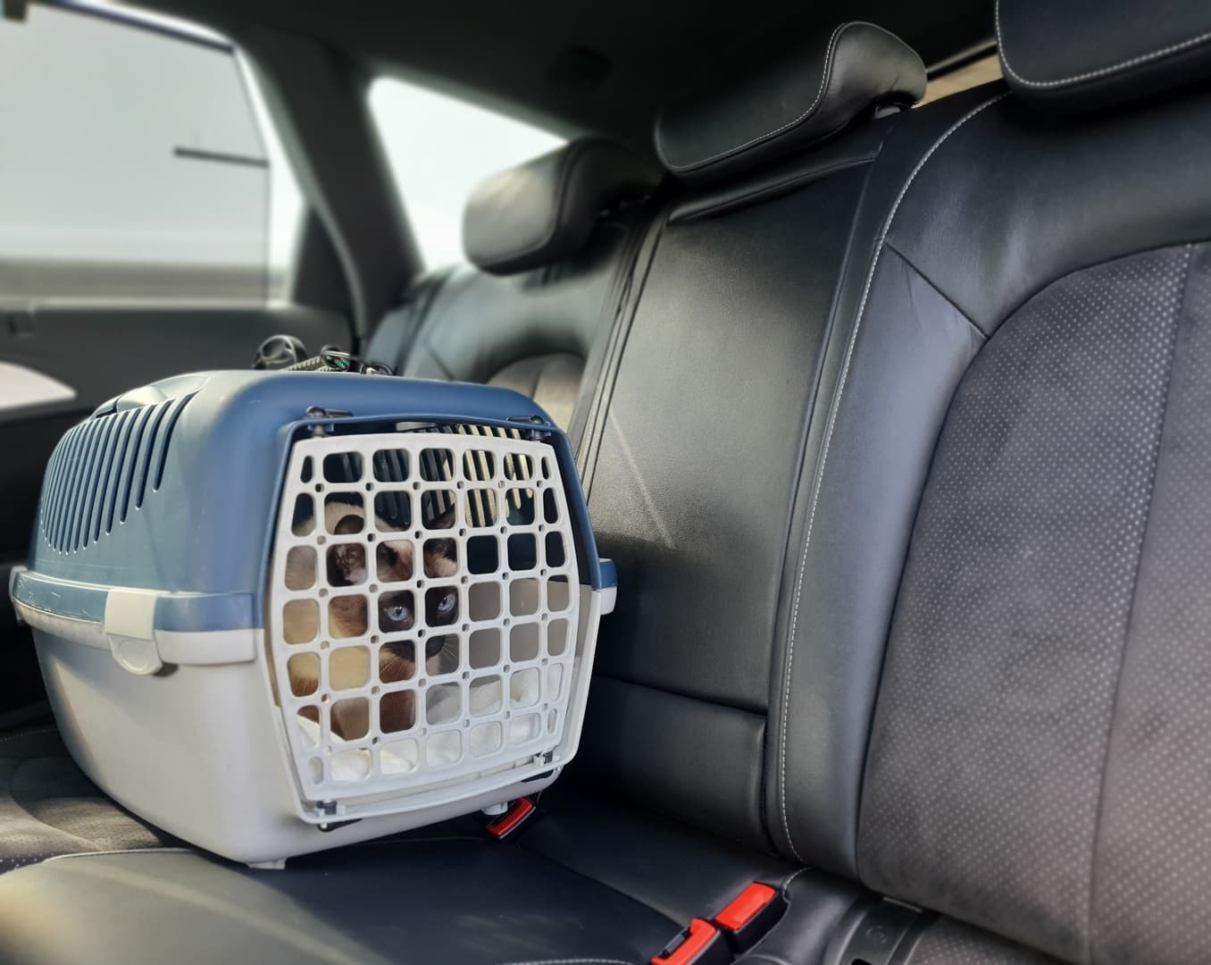 Selbstlernkurs "Stressfreies Autofahren"