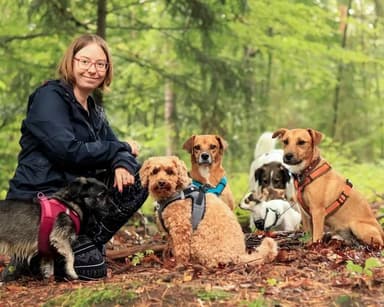 Rudelnasen Nürnberg