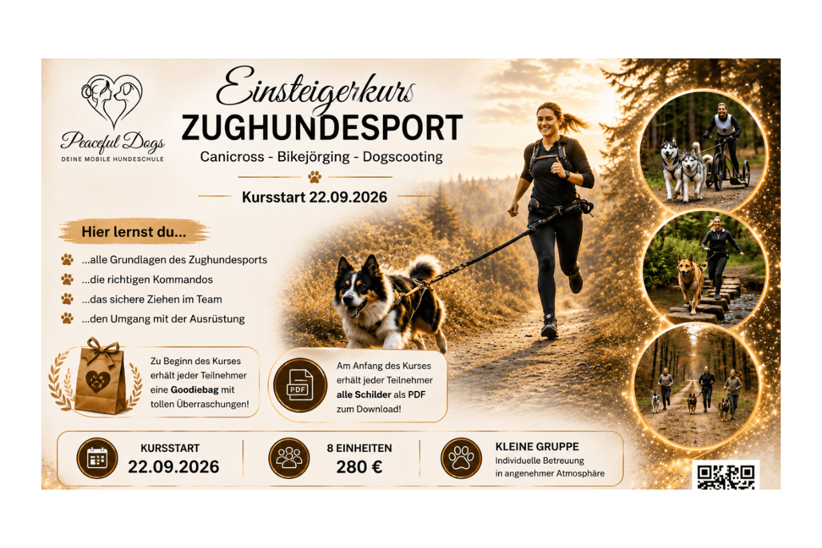 Einsteigerkurs Zughundesport