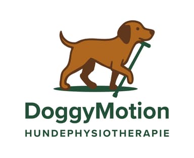 DoggyMotion Hundephysiotherapie