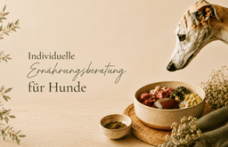 Lisas Futterküche | Ernährungsberaterin für Hunde & Katzen | Barf