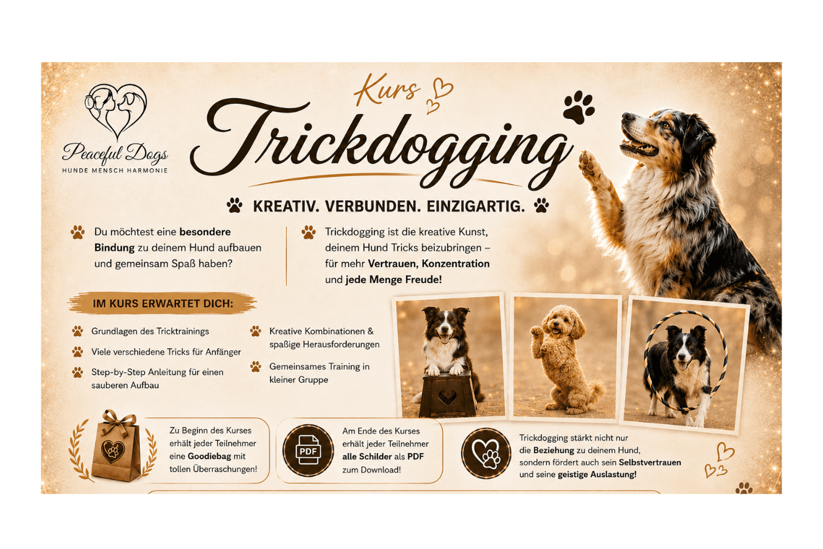 Trickdogging-Spaß: Kreative Übungen für schlaue Pfoten