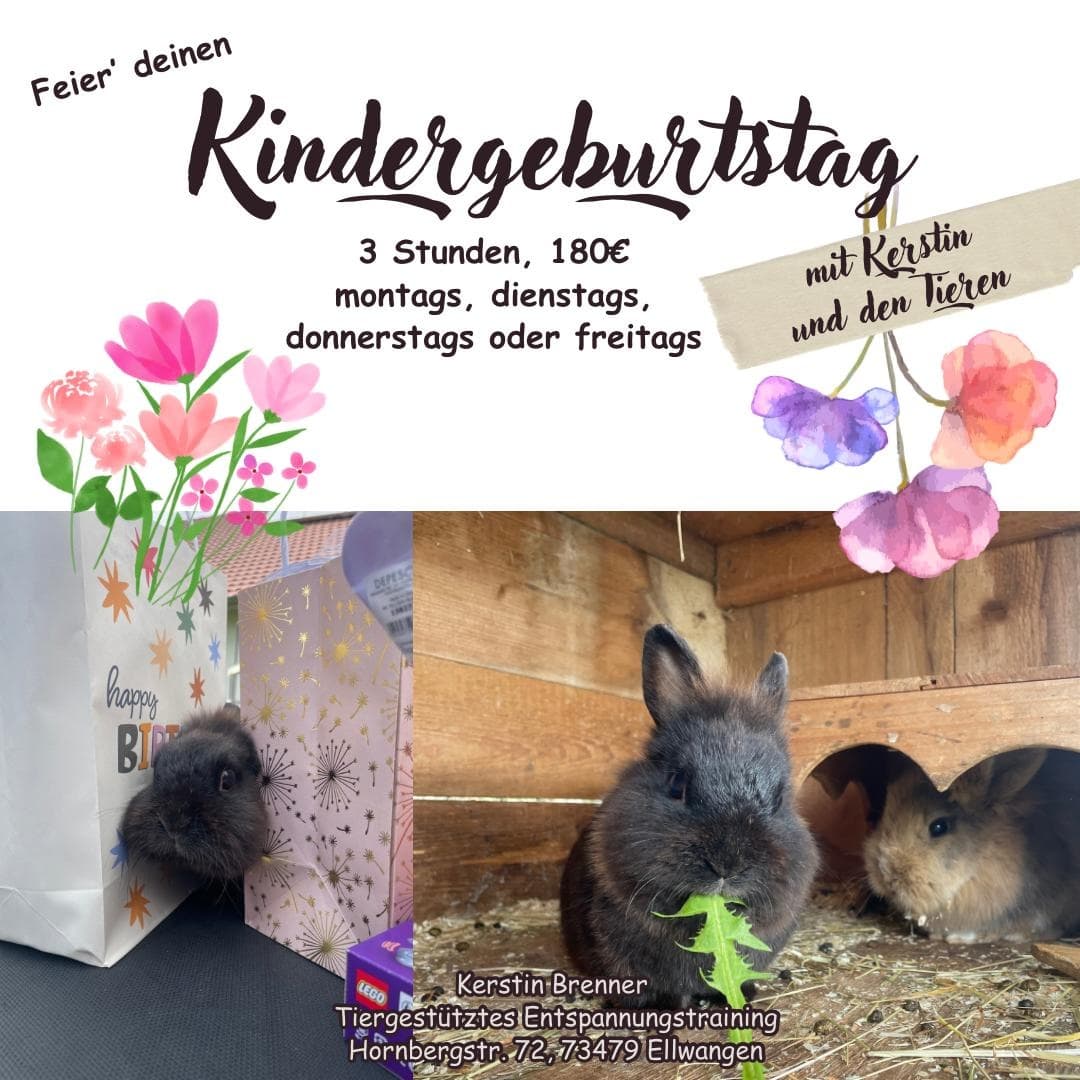 Abenteuer Hofentdecker: Der ultimative tiergestützte Kindergeburtstag