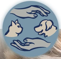 Physiotherapie für Tiere Heilerhund