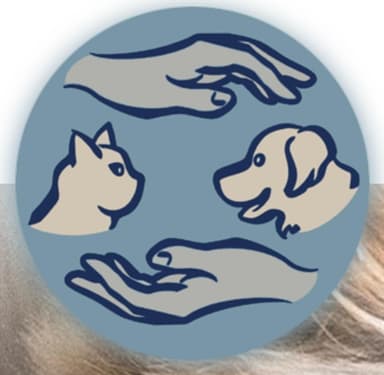 Physiotherapie für Tiere Heilerhund