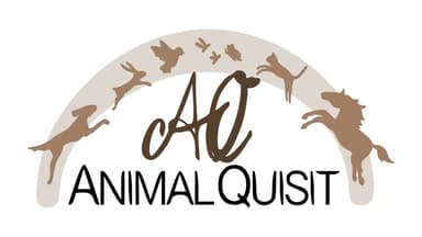 Animalquisit – Hundefotografie Essen