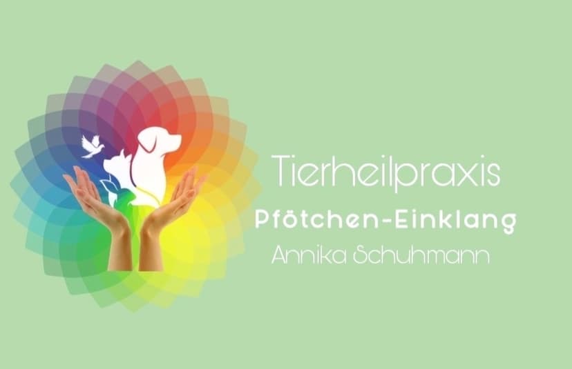 Tierheilpraxis Pfötchen Einklang