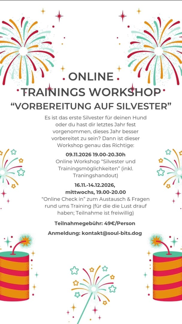 Webinar Silvester Vorbereitung