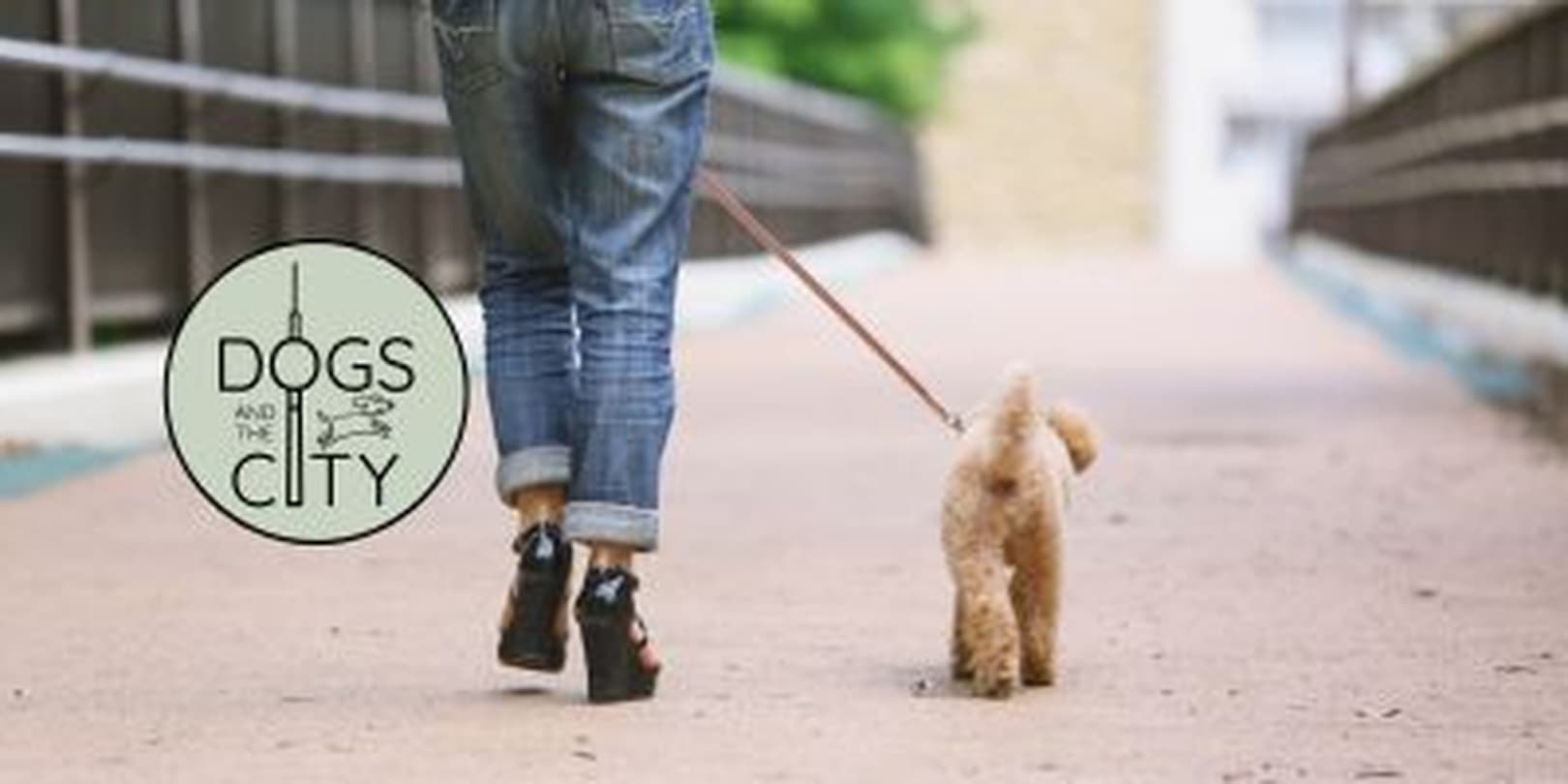 Stadtheld-Training für kleine Entdecker