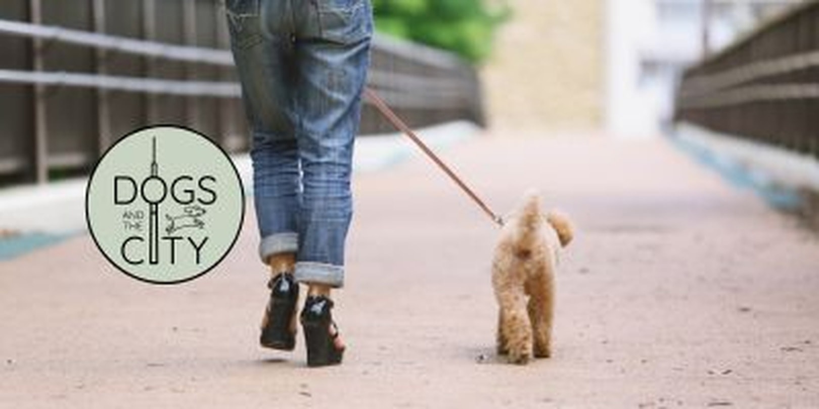 Dogs and the City