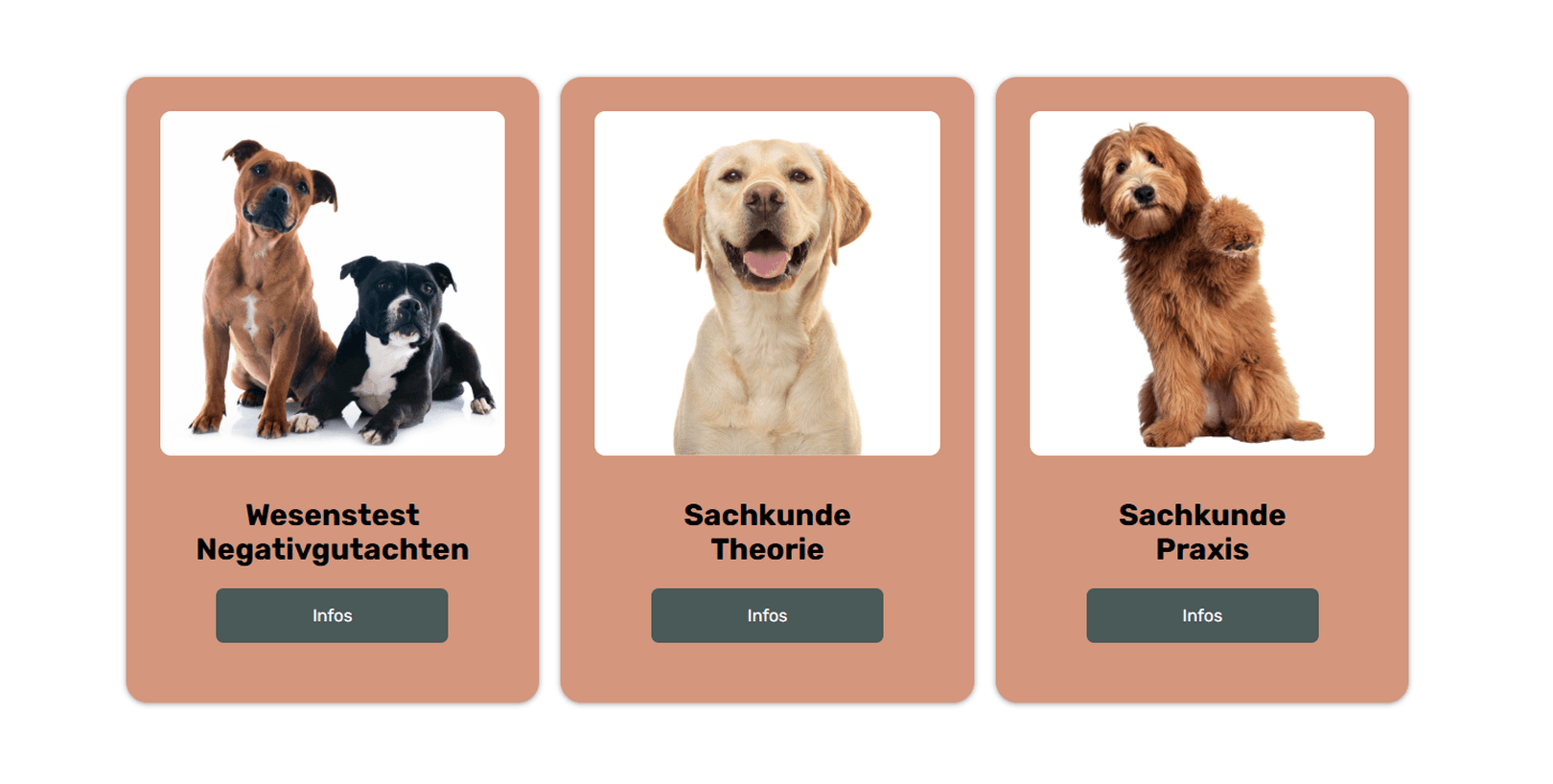 Wesenstest (Berlin) / Negativgutachten (Brandenburg)