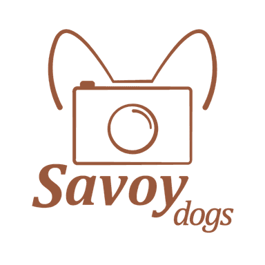 Savoy Dogs Fotografie