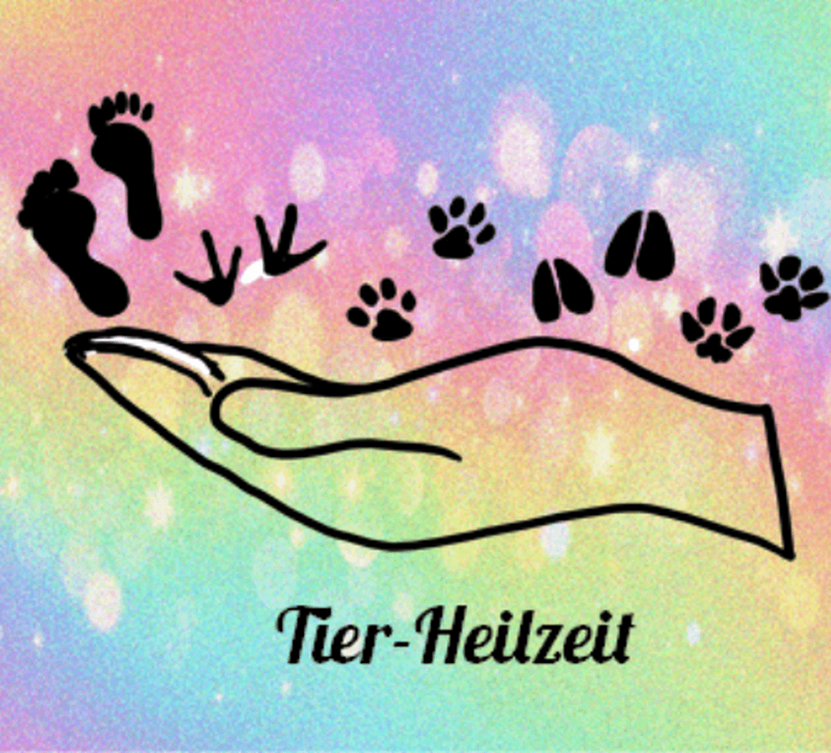 Beratung Tierheilpraktik