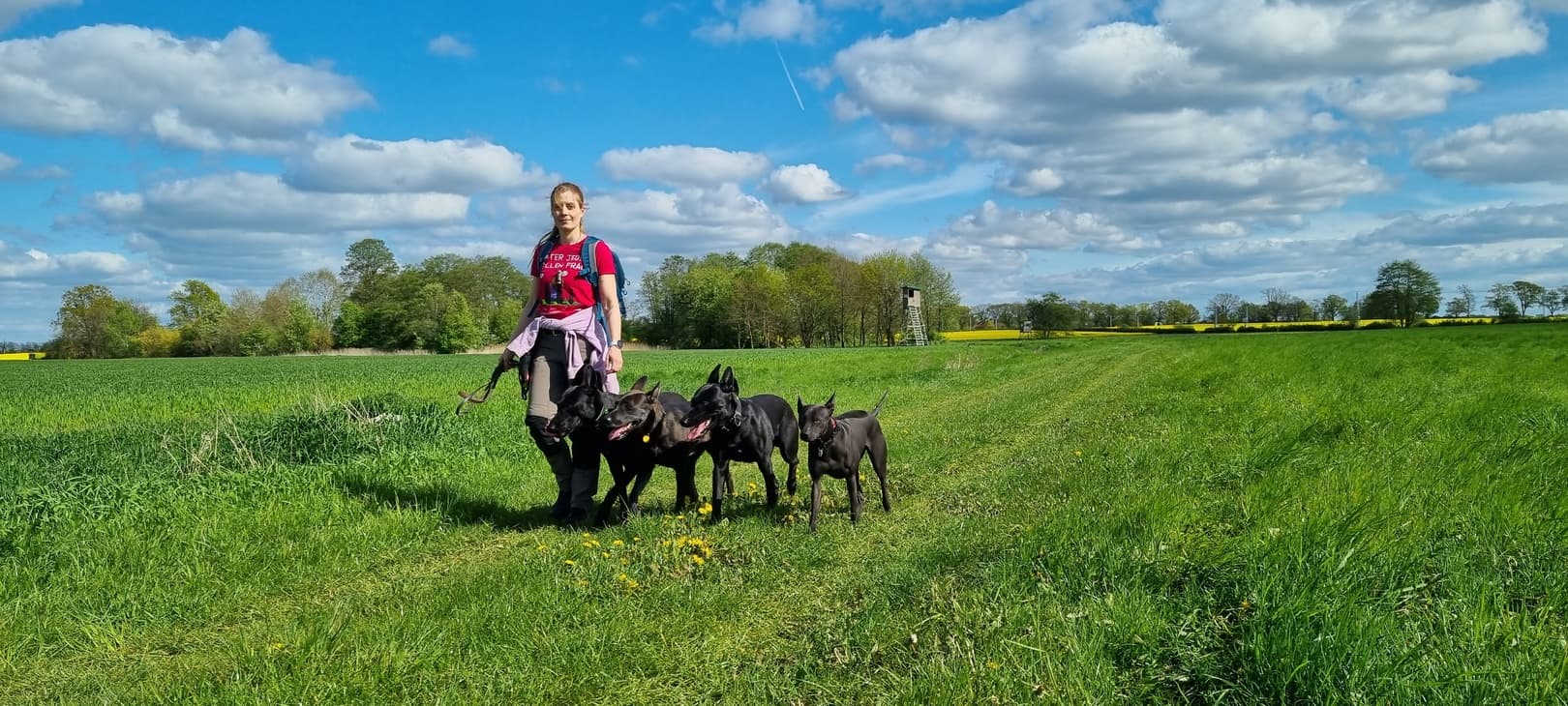 Achtsamer Social Walk in Berlin-Pankow