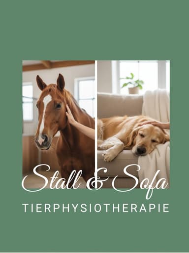 Stall & Sofa: Mobile Tierphysiotherapie für Pferd & Hund