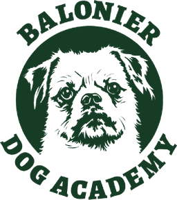 BALONIER Dog Academy