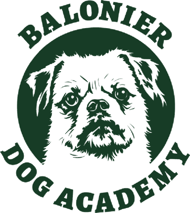 BALONIER Dog Academy