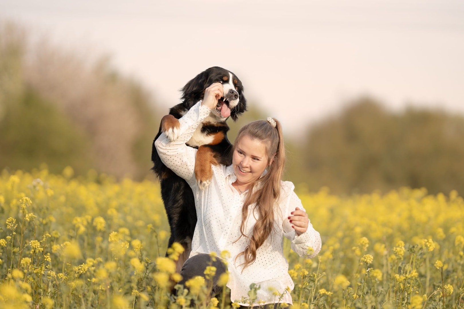 Animalquisit – Hundefotografie Essen