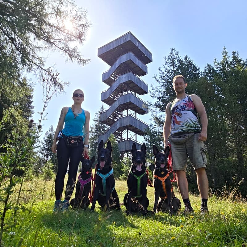 heine4dogs® sensocation®