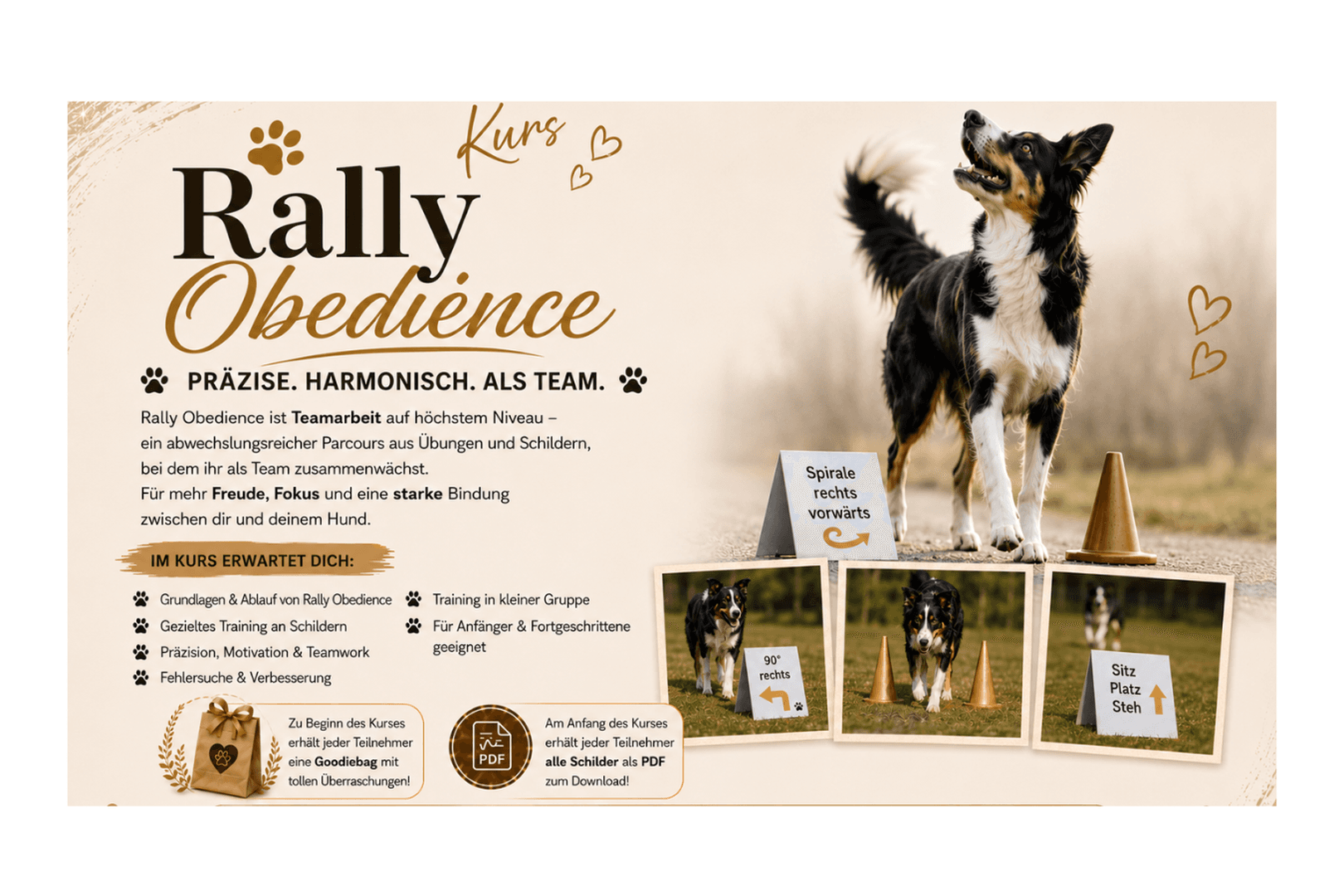 Rally Obedience Kurs