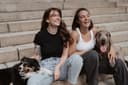 Hundeschule Hamburg - Pawlitytime