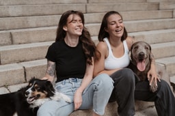 Hundeschule Hamburg - Pawlitytime