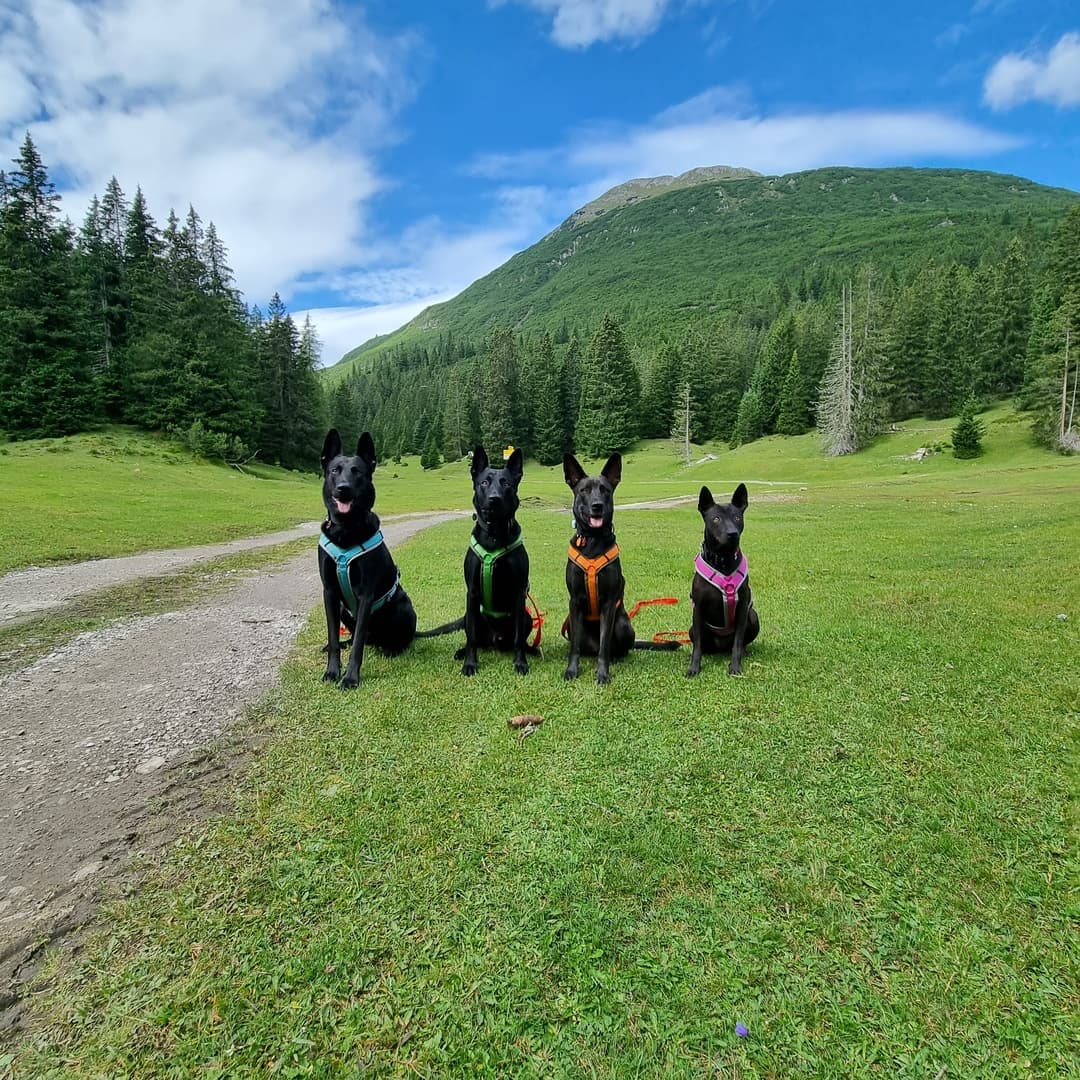 Kommunikation auf Augenhöhe – Analyse & Einzeltraining (Hausbesuch)