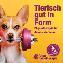 4-Pfoten-Physiotherapie