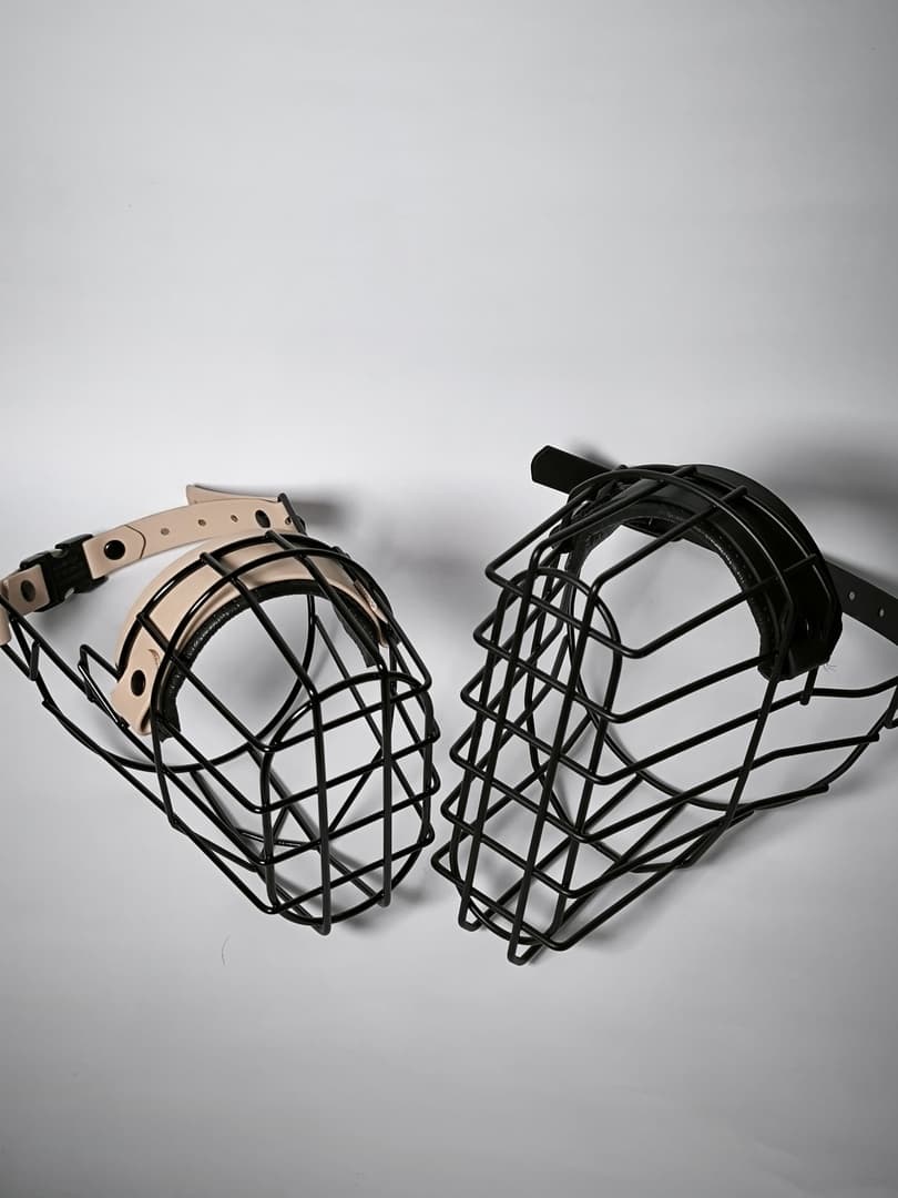 Professionelle Maulkorbberatung