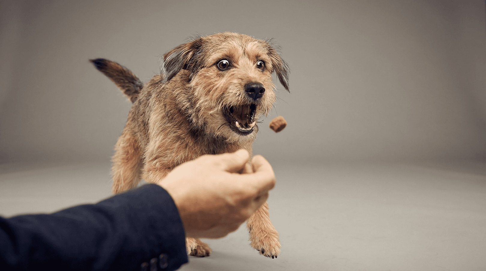 Schnappschuss-Spaß & Schleckermäulchen: Das witzige Studio-Shooting
