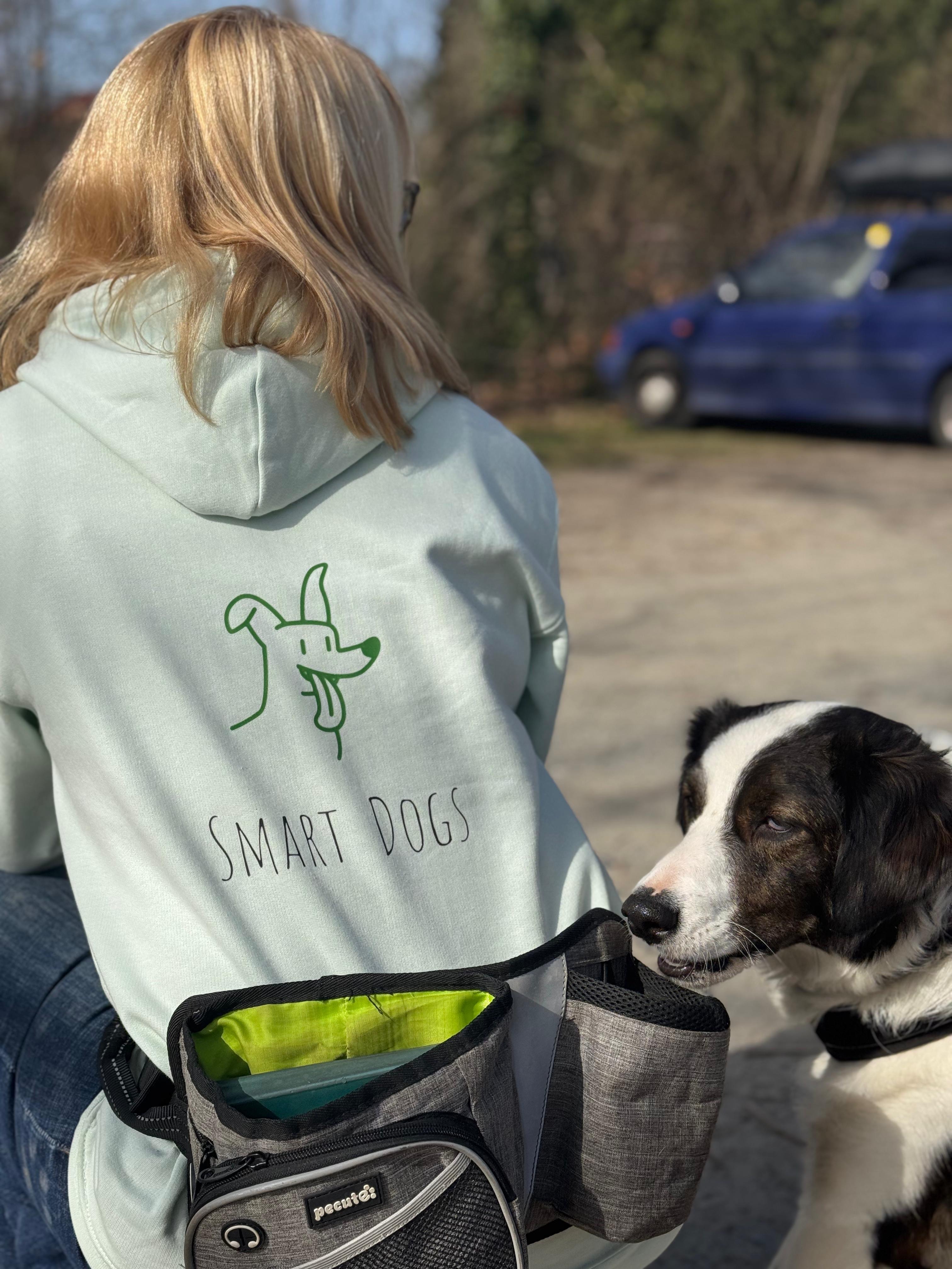Smart Dogs