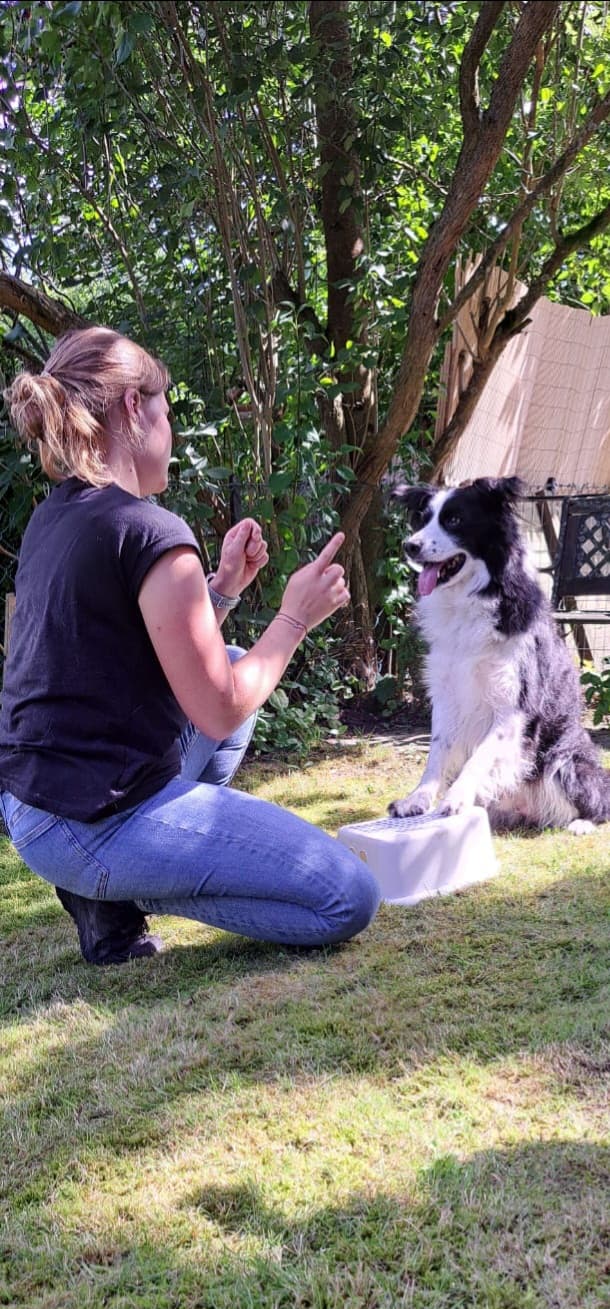 Tierphysiotherapie Milena-Joy Syfus